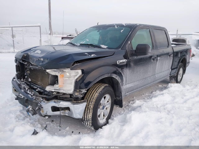 2019 FORD F-150 1FTFW1E50KFC90226 Photo 1