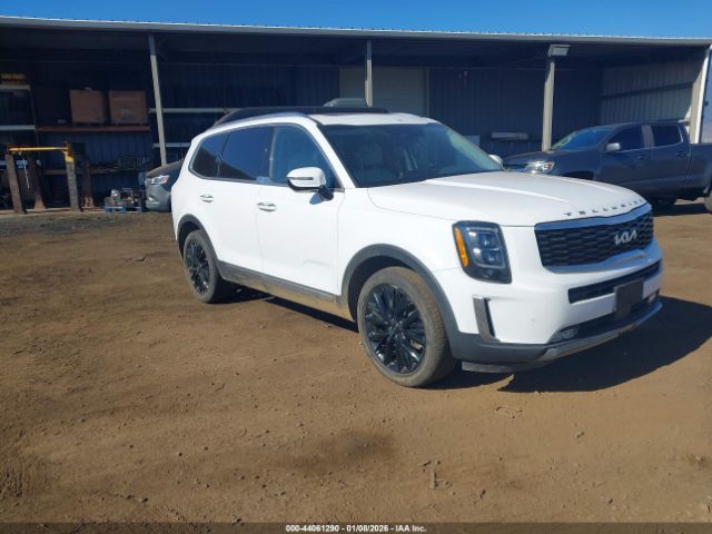 2022 KIA TELLURIDE 5XYP54HCXNG315086