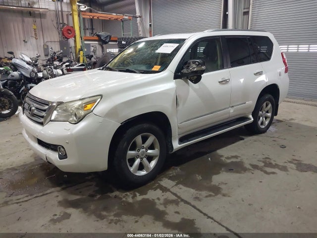 2011 Lexus Gx 460 Premium მანქანა იყიდება აუქციონზე, vin: JTJJM7FX5B5026926, აუქციონის ნომერი: 44063184