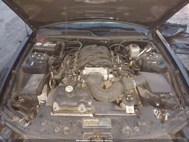 2005 FORD MUSTANG 1ZVFT82H355101074 Photo 9