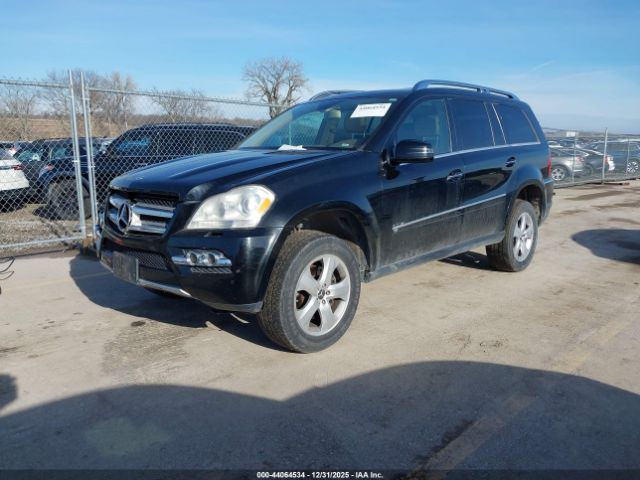 2011 MERCEDES-BENZ GL 450 4JGBF7BE7BA670954 Photo 1