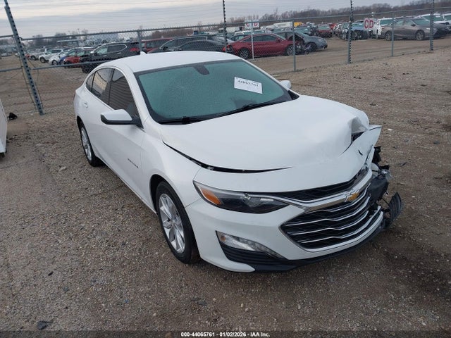 2019 CHEVROLET MALIBU 1G1ZD5ST4KF152629