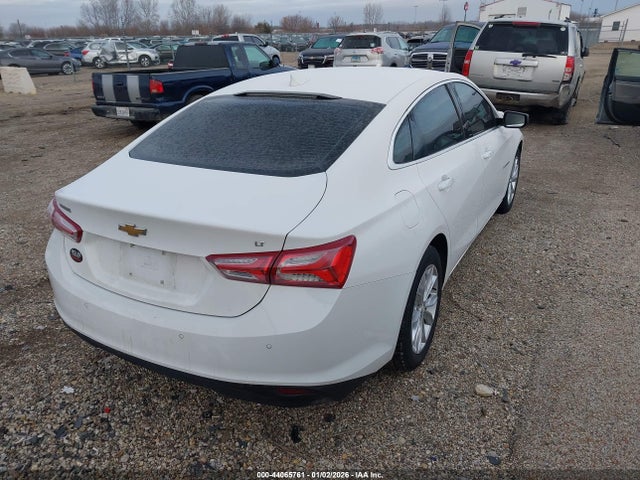 2019 CHEVROLET MALIBU 1G1ZD5ST4KF152629 Photo 3