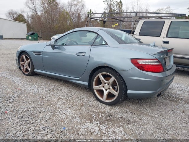 2013 MERCEDES-BENZ SLK 250 WDDPK4HA9DF058565 Photo 2