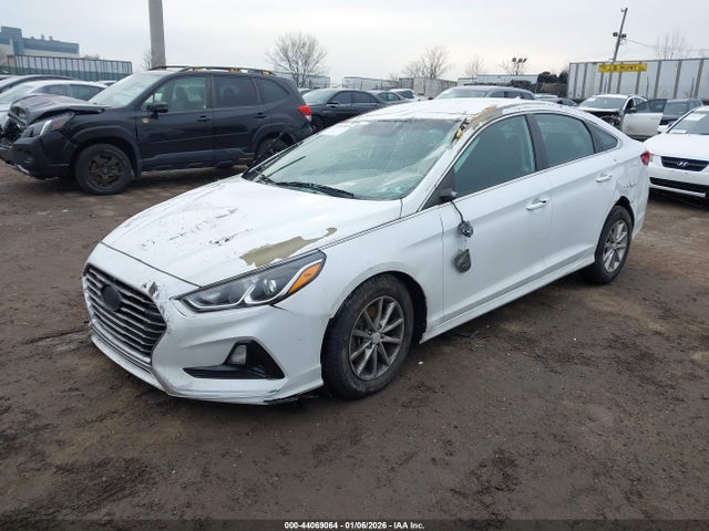 5NPE24AF9JH680477 Hyundai SONATA SE