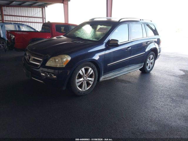 2010 MERCEDES-BENZ GL 450 4JGBF7BE8AA587550 Photo 1
