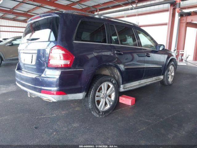 2010 MERCEDES-BENZ GL 450 4JGBF7BE8AA587550 Photo 3