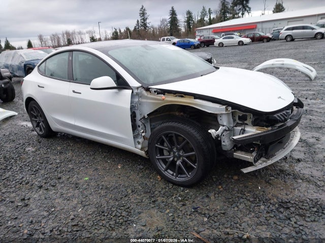 2019 TESLA MODEL 3 5YJ3E1EBXKF211760 Photo 0