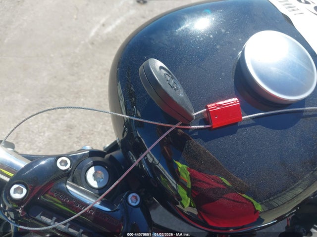 2019 HARLEY-DAVIDSON XL1200 1HD1LM318KC418054 Photo 10