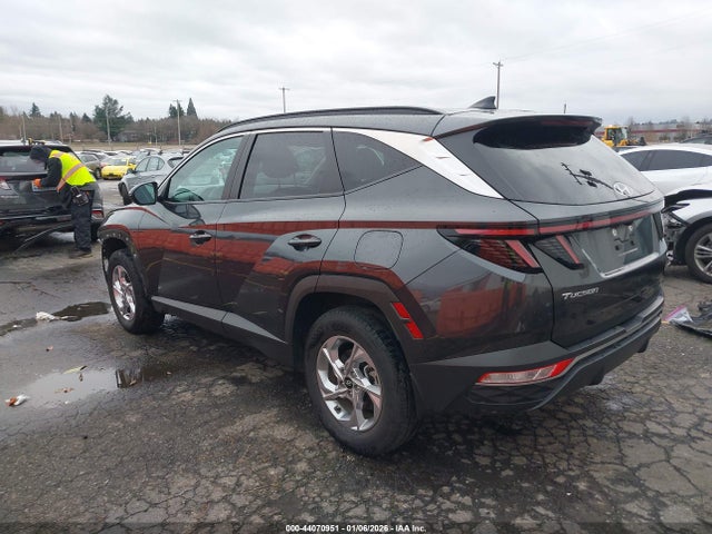 Hyundai TUCSON SEL 2023 5NMJBCAE5PH284522 Image 3