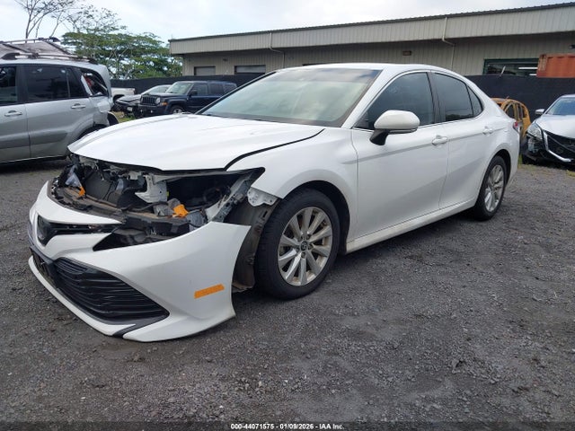 4T1B11HK8KU233049 Toyota CAMRY LE