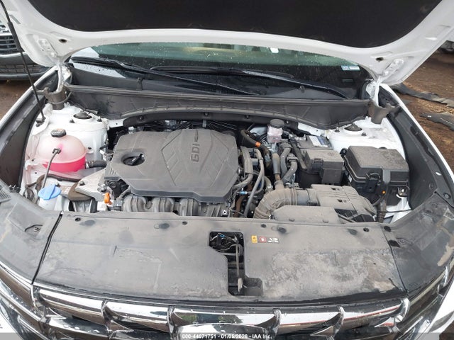 Hyundai Tucson Limited 2024 5NMJECDE0RH313124 Image 10
