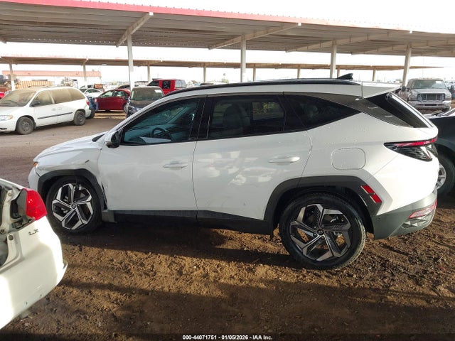 Hyundai Tucson Limited 2024 5NMJECDE0RH313124 Image 14