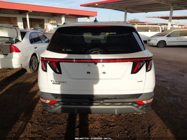 Hyundai Tucson Limited 2024 5NMJECDE0RH313124 Image 16