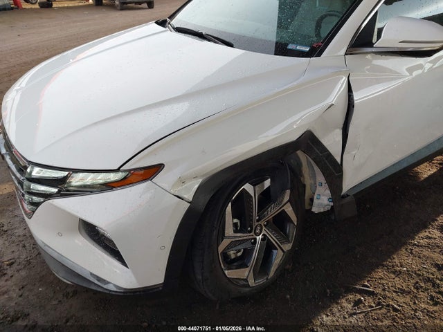 Hyundai Tucson Limited 2024 5NMJECDE0RH313124 Image 6