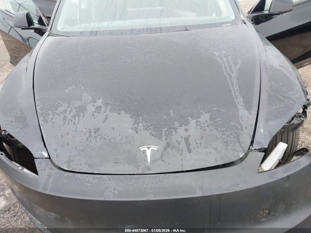 2025 TESLA MODEL 3 5YJ3E1EA0SF883396 Photo 9