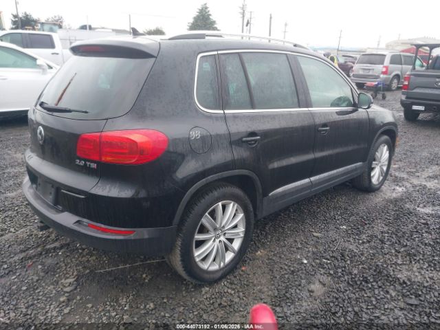 2013 VOLKSWAGEN TIGUAN WVGAV7AX0DW536259 Photo 3