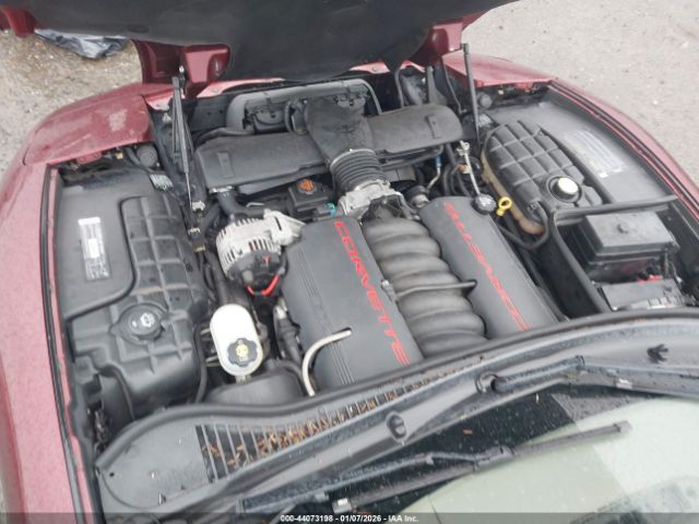 2003 CHEVROLET CORVETTE 1G1YY22G935123491 Photo 9