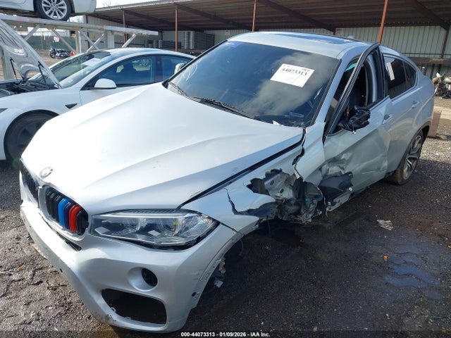 2017 BMW X6 5UXKU2C31H0U29964 Photo 1