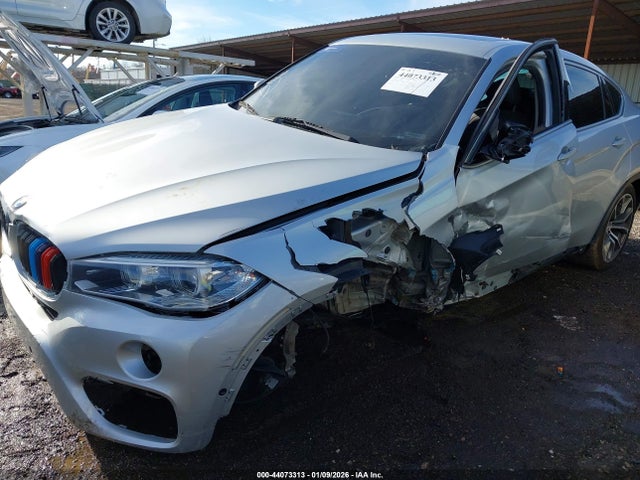 2017 BMW X6 5UXKU2C31H0U29964 Photo 5