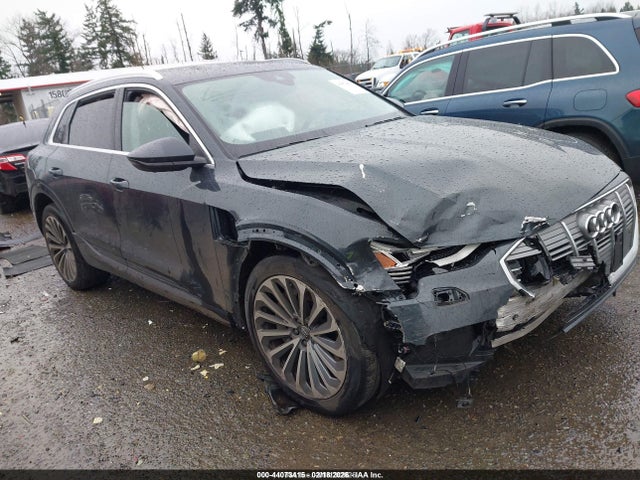 2019 AUDI E-TRON WA1VAAGE9KB025040