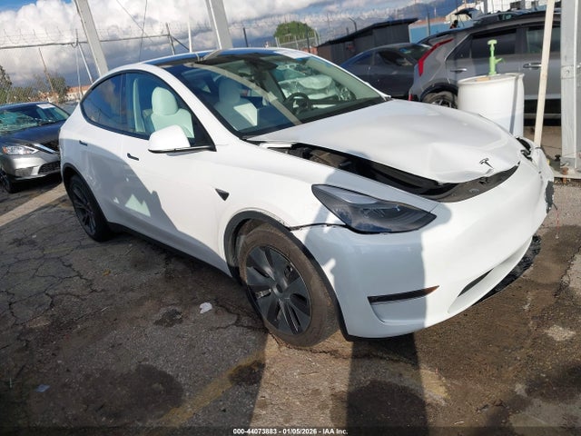2024 TESLA MODEL Y 7SAYGDEE1RF170072 Photo 0