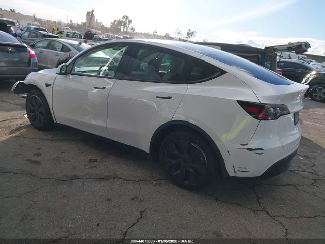 2024 TESLA MODEL Y 7SAYGDEE1RF170072 Photo 2