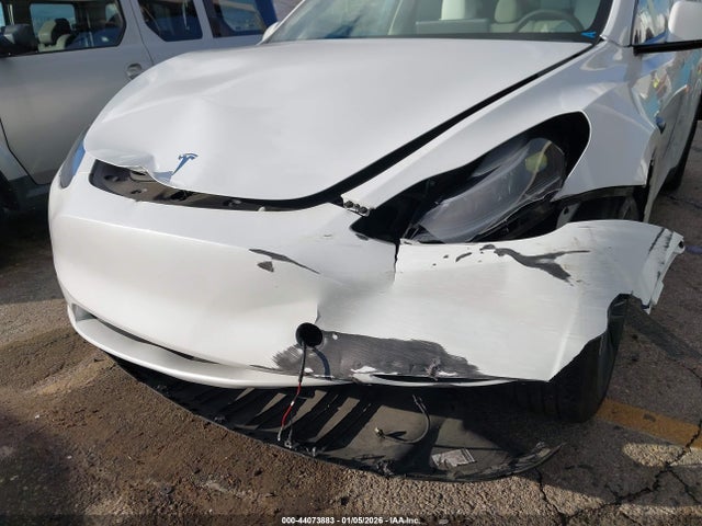 2024 TESLA MODEL Y 7SAYGDEE1RF170072 Photo 5