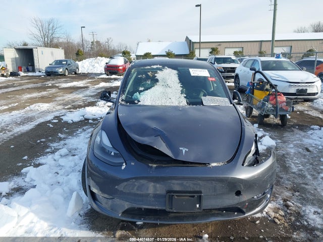 Продаж на аукціоні авто 2023 Tesla Model Y Rwd, vin: 7SAYGDED7PF934933, номер лоту: 44074537