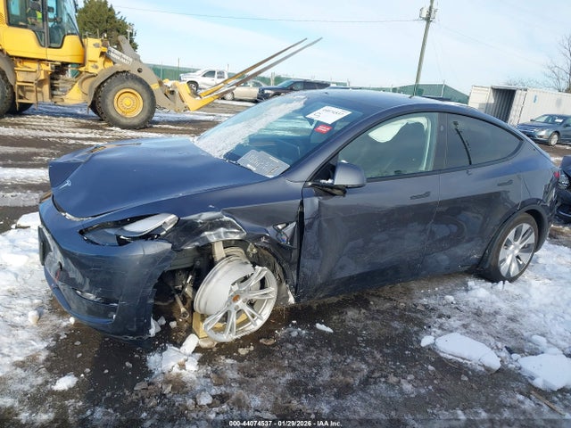 Продаж на аукціоні авто 2023 Tesla Model Y Rwd, vin: 7SAYGDED7PF934933, номер лоту: 44074537