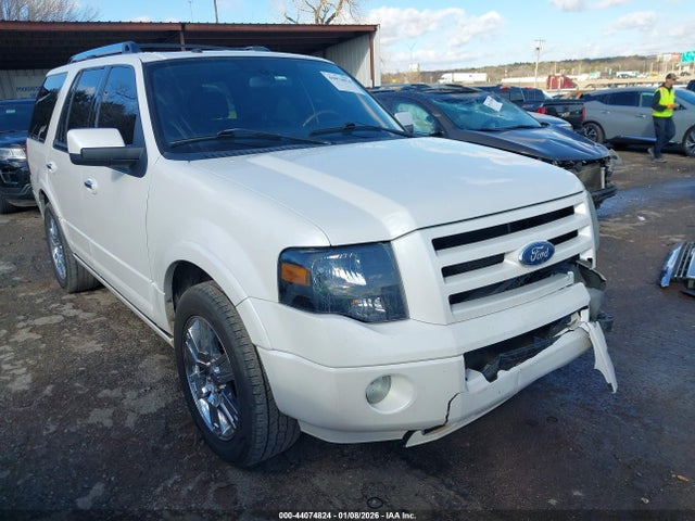 2010 FORD EXPEDITION 1FMJU1K52AEB73011