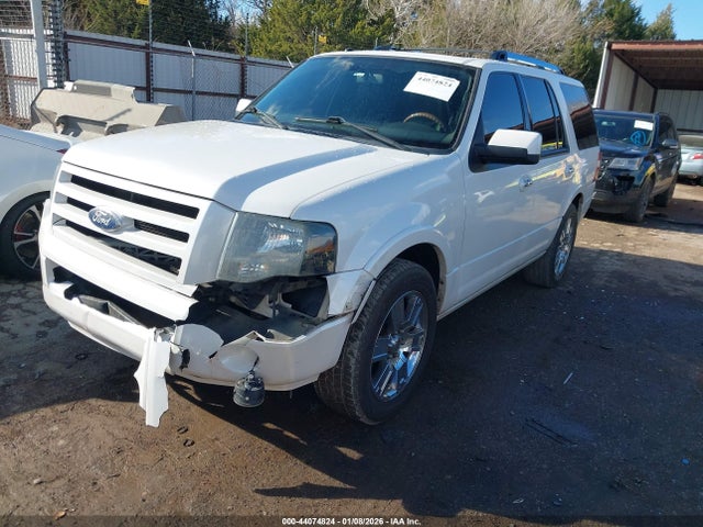 2010 FORD EXPEDITION 1FMJU1K52AEB73011 Photo 1