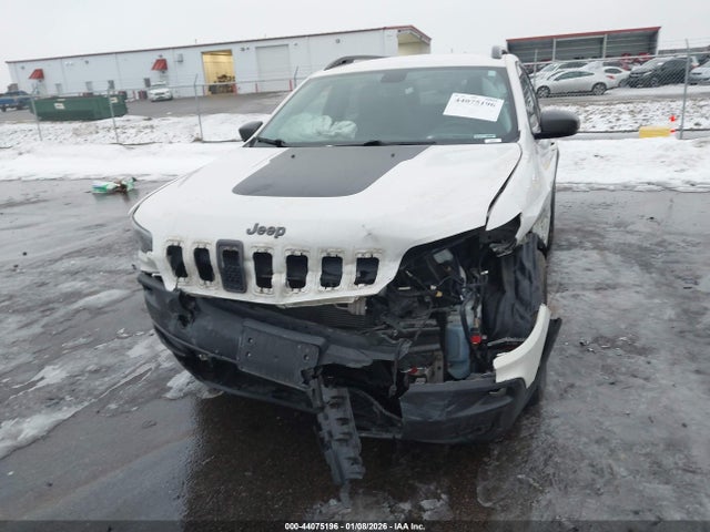 Продажа на аукционе авто 2019 Jeep Cherokee Trailhawk Elite 4x4, vin: 1C4PJMBNXKD246545, номер лота: 44075196