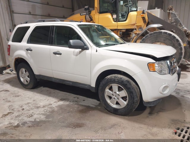 2011 FORD ESCAPE 1FMCU9DG2BKB84213