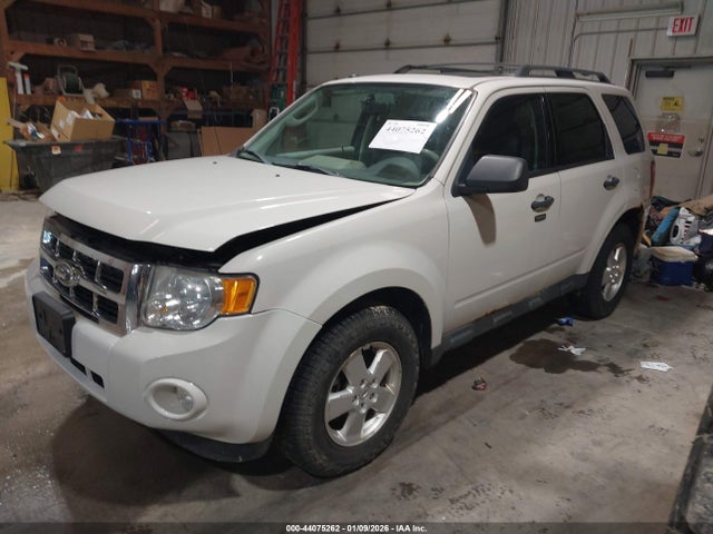 2011 FORD ESCAPE 1FMCU9DG2BKB84213 Photo 1