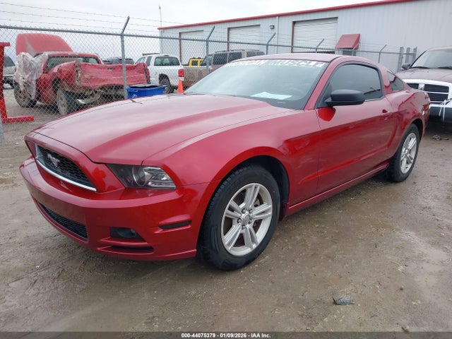 1ZVBP8AM4E5280081 Ford Mustang V6