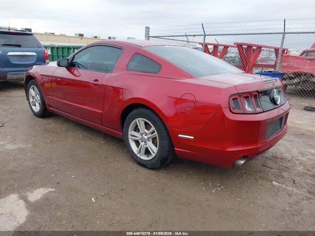 1ZVBP8AM4E5280081 Ford Mustang V6