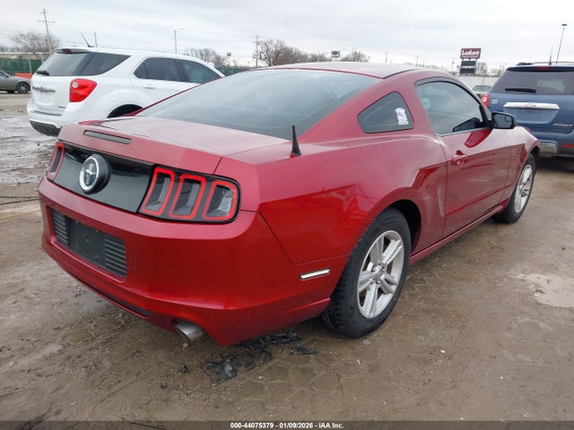 1ZVBP8AM4E5280081 Ford Mustang V6