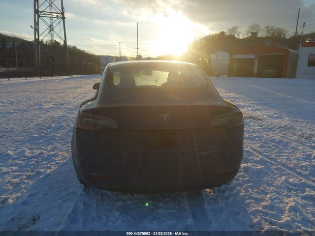 Tesla Model 3 Rear-wheel Drive 2023 5YJ3E1EA7PF564567 Image 16