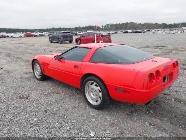 1995 CHEVROLET CORVETTE 1G1YY22P7S5115761 Photo 2