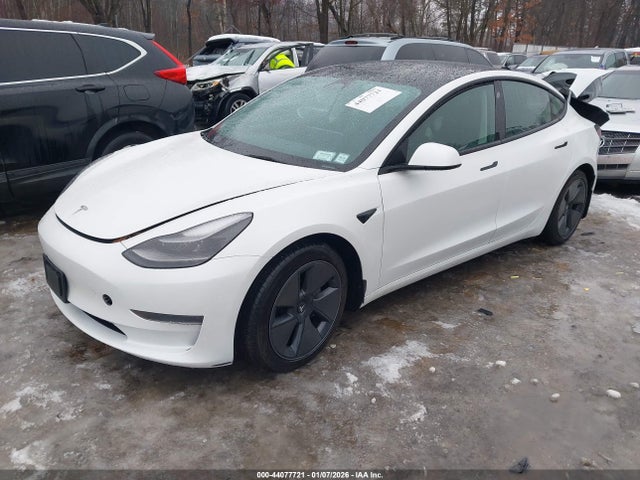 2023 TESLA MODEL 3 5YJ3E1EAXPF600736 Photo 1