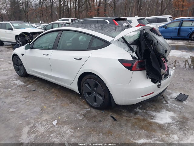 2023 TESLA MODEL 3 5YJ3E1EAXPF600736 Photo 2