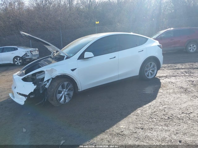 2023 TESLA MODEL Y 7SAYGAEE9PF930910 Photo 1