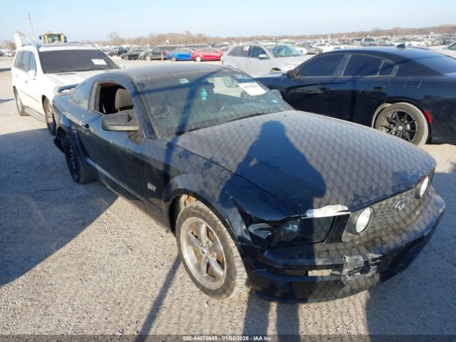 2006 FORD MUSTANG 1ZVFT82H065104094