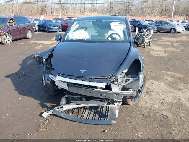 Продаж на аукціоні авто 2025 Tesla Model Y Long Range Dual Motor All-wheel Drive, vin: 7SAYGDEE3SF297119, номер лоту: 44078822