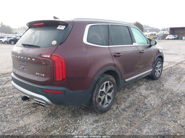 5XYP34HC0LG033588 KIA Telluride Ex