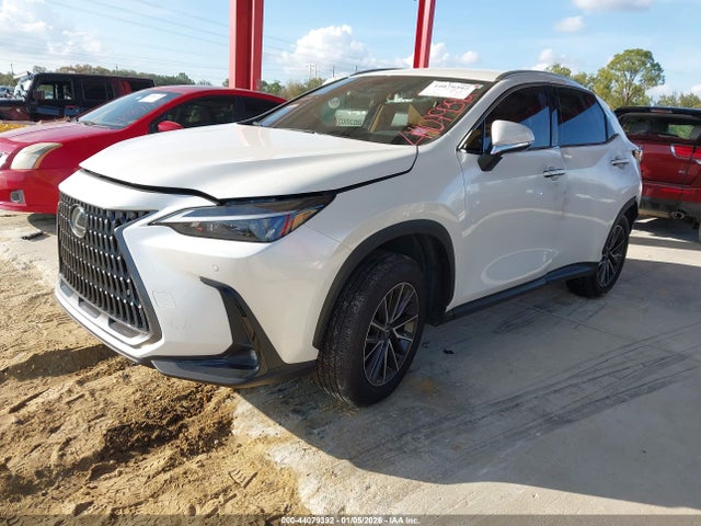 2025 LEXUS NX 250 JTJADCAZ5S2022152 Photo 1