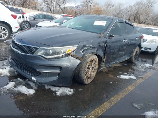 5XXGU4L31HG167090 KIA OPTIMA EX