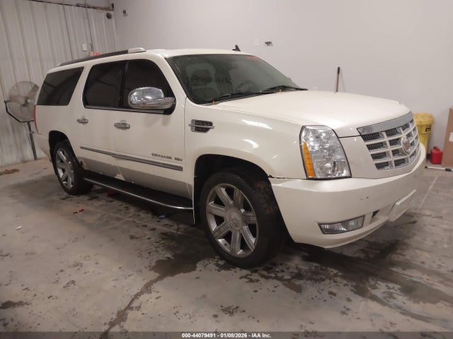 2010 CADILLAC ESCALADE 1GYUKHEFXAR134139 Photo 0