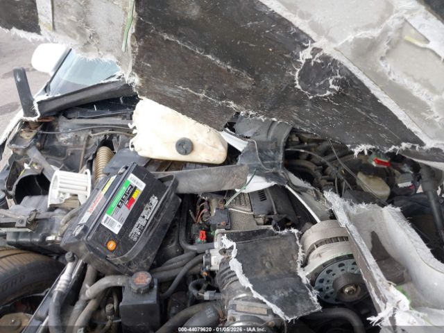 1994 CHEVROLET CORVETTE 1G1YY22P6R5109511 Photo 9